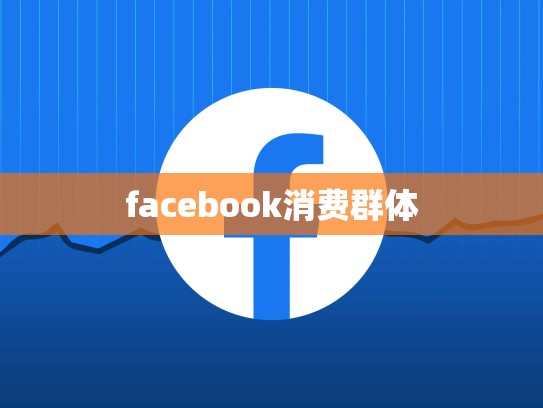 facebook消费群体