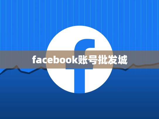facebook账号批发城