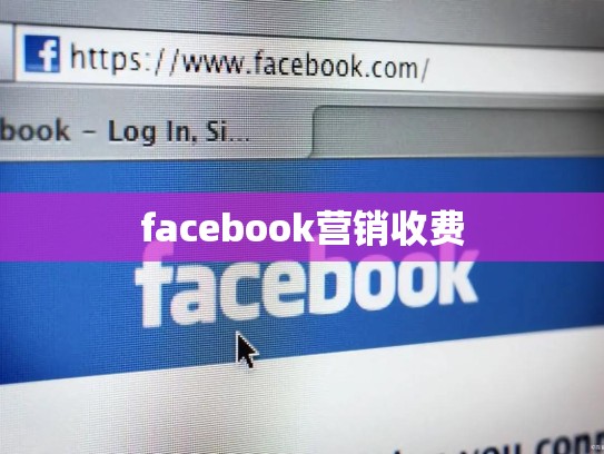 facebook营销收费