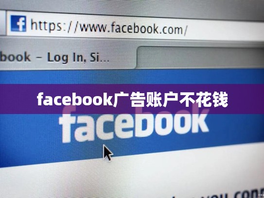 facebook广告账户不花钱
