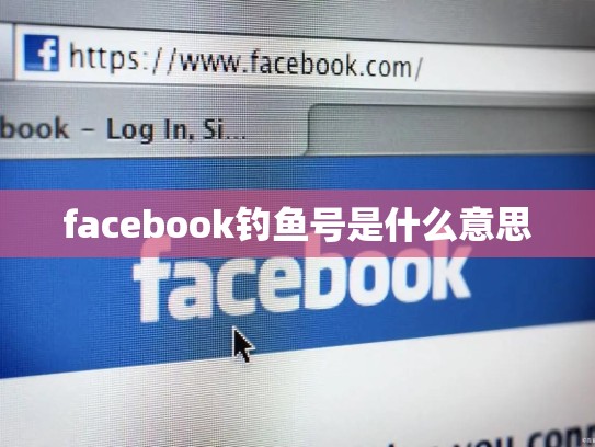 facebook钓鱼号是什么意思