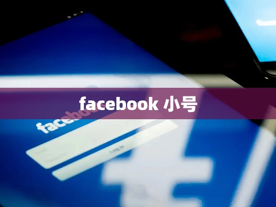 facebook 小号