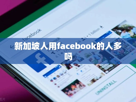 新加坡人用facebook的人多吗