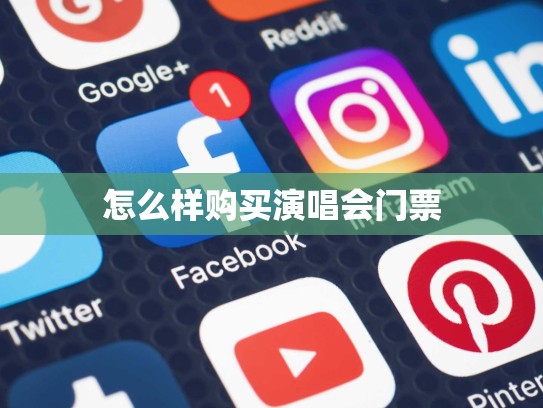 怎么样购买演唱会门票