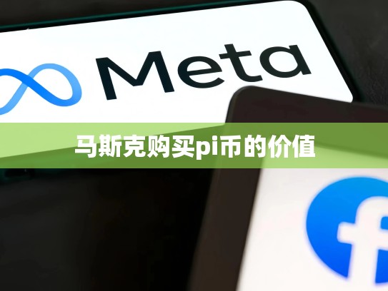 马斯克购买pi币的价值