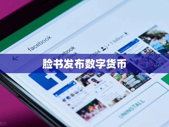 脸书发布数字货币