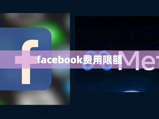 facebook费用限额