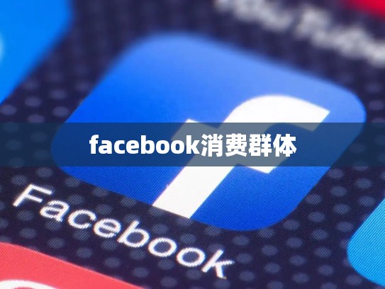 facebook消费群体