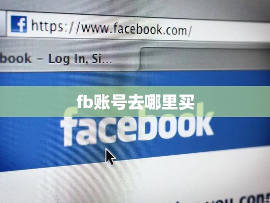 fb账号去哪里买