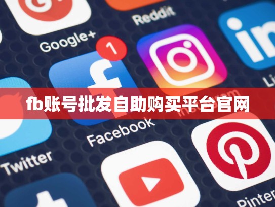 fb账号批发自助购买平台官网