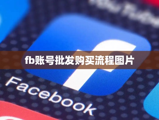 fb账号批发购买流程图片