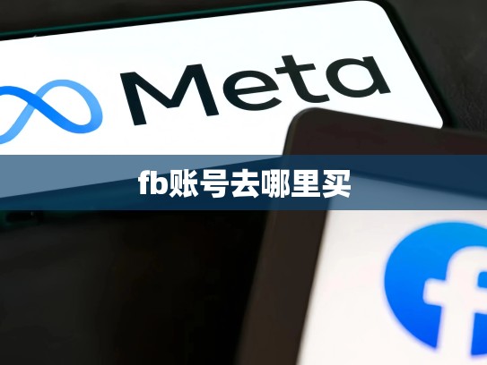 fb账号去哪里买