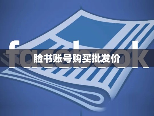 脸书账号购买批发价