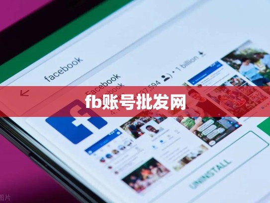 fb账号批发网
