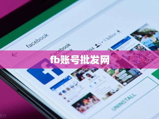 fb账号批发网