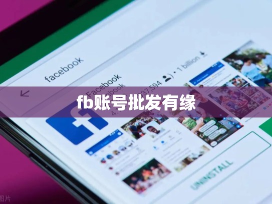 fb账号批发有缘