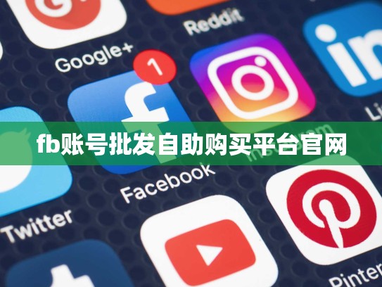 fb账号批发自助购买平台官网
