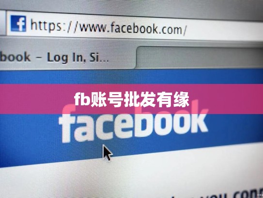 fb账号批发有缘
