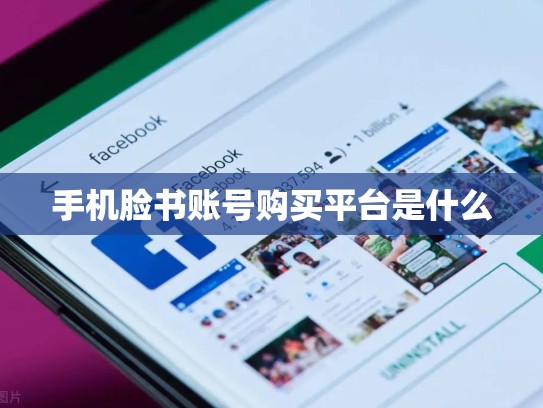 手机脸书账号购买平台是什么