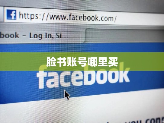 脸书账号哪里买