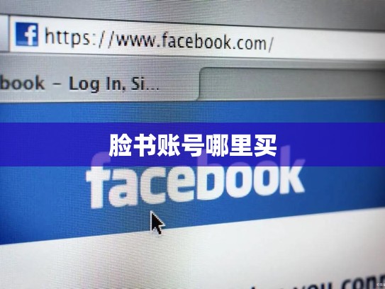 脸书账号哪里买