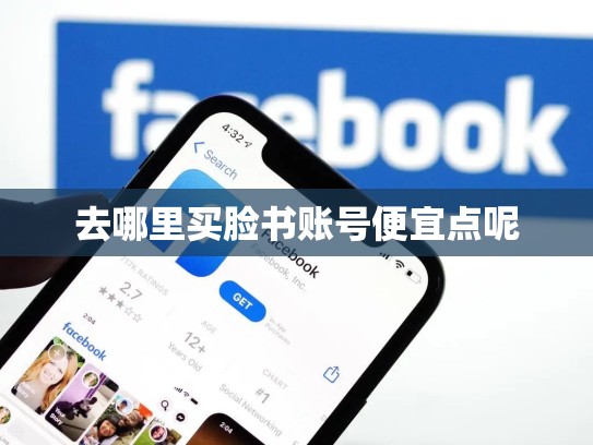 去哪里买脸书账号便宜点呢
