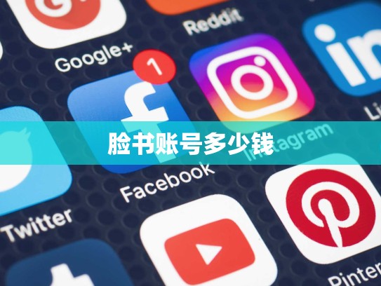 脸书账号多少钱