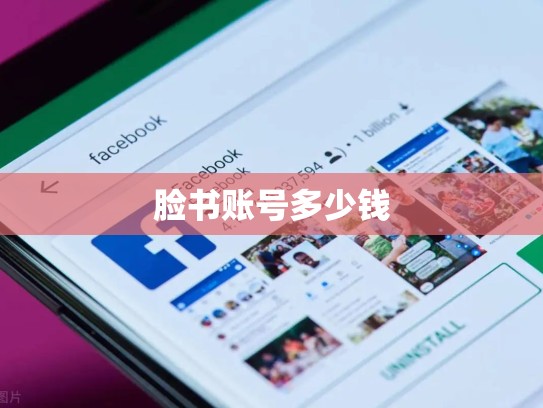 脸书账号多少钱