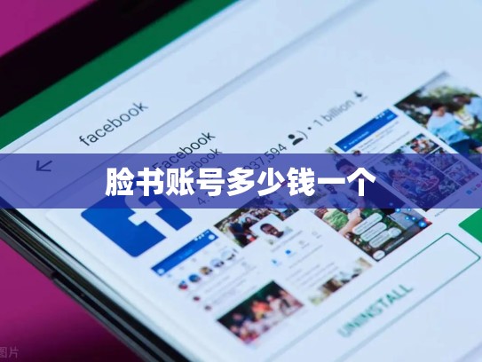脸书账号多少钱一个