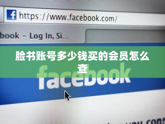脸书账号多少钱买的会员怎么查