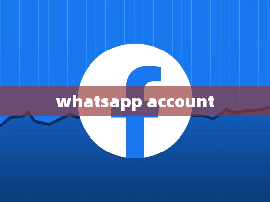 whatsapp account