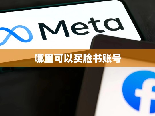 哪里可以买脸书账号