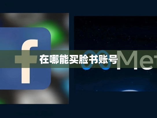 在哪能买脸书账号