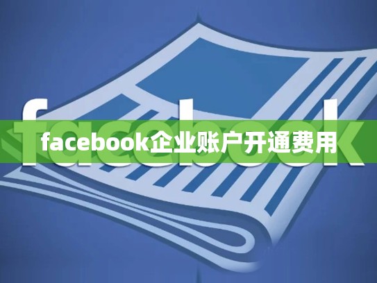 facebook企业账户开通费用