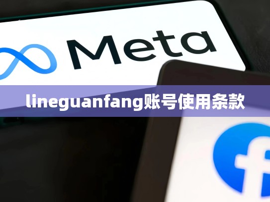 lineguanfang账号使用条款
