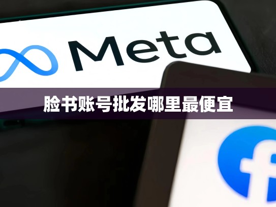 脸书账号批发哪里最便宜
