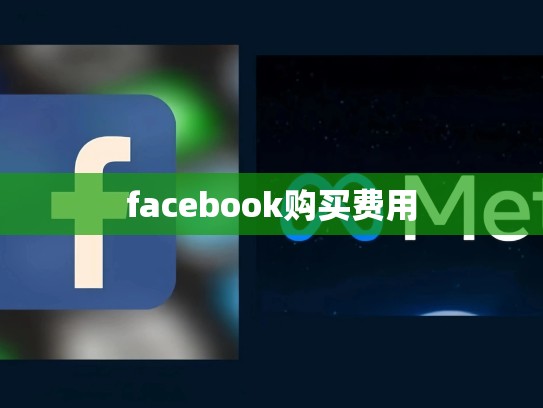 facebook购买费用
