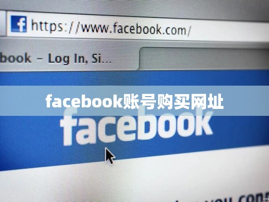 facebook账号购买网址