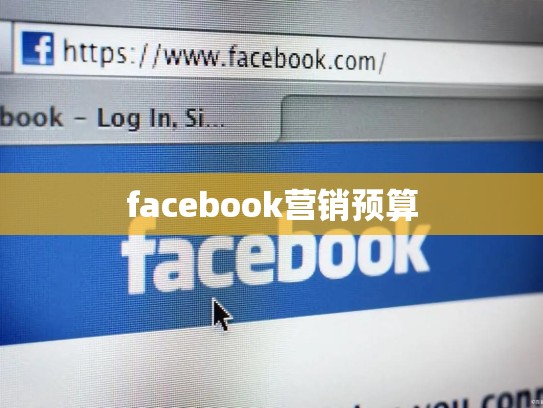 facebook营销预算