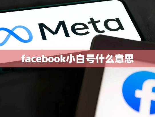 facebook小白号什么意思