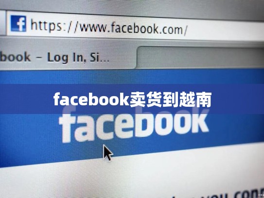 facebook卖货到越南