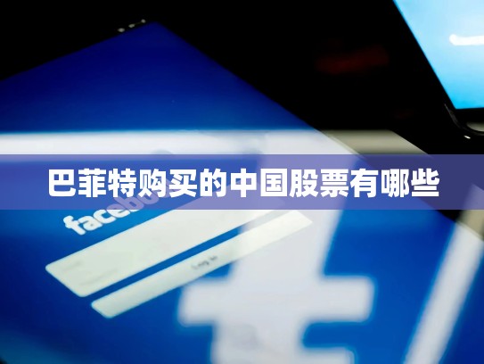 巴菲特购买的中国股票有哪些