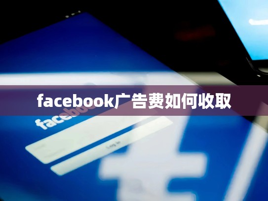 facebook广告费如何收取