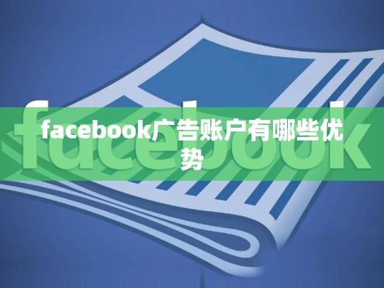 facebook广告账户有哪些优势