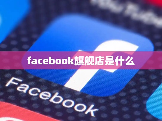 facebook旗舰店是什么