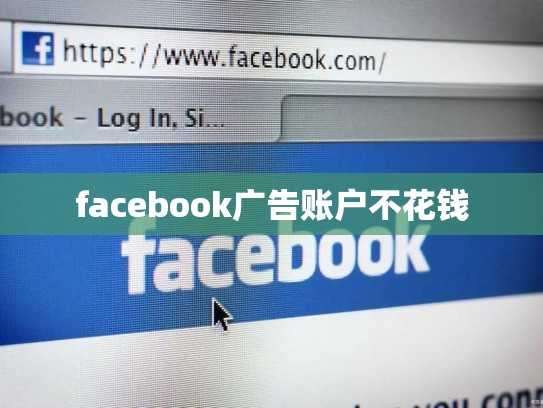 facebook广告账户不花钱