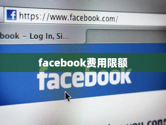 facebook费用限额