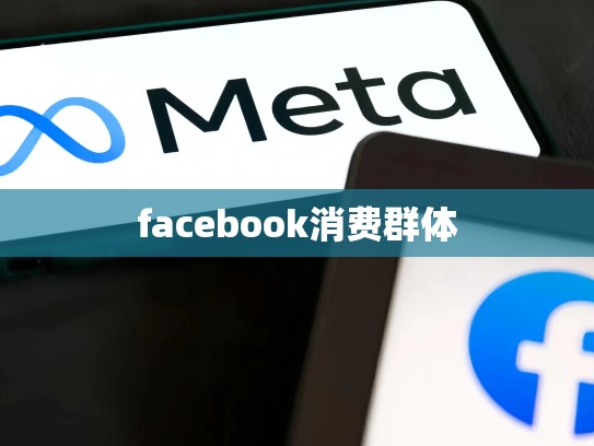 facebook消费群体