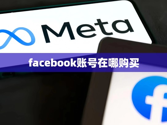 facebook账号在哪购买