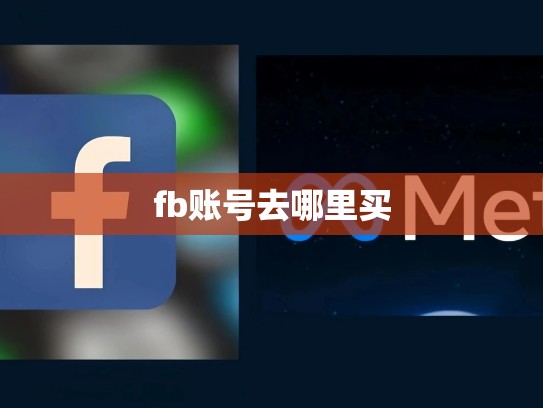 fb账号去哪里买